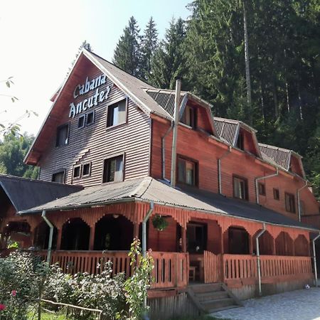Cabana Ancutei Rucăr Exterior foto