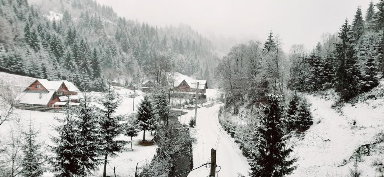 Cabana Ancutei Rucăr Exterior foto