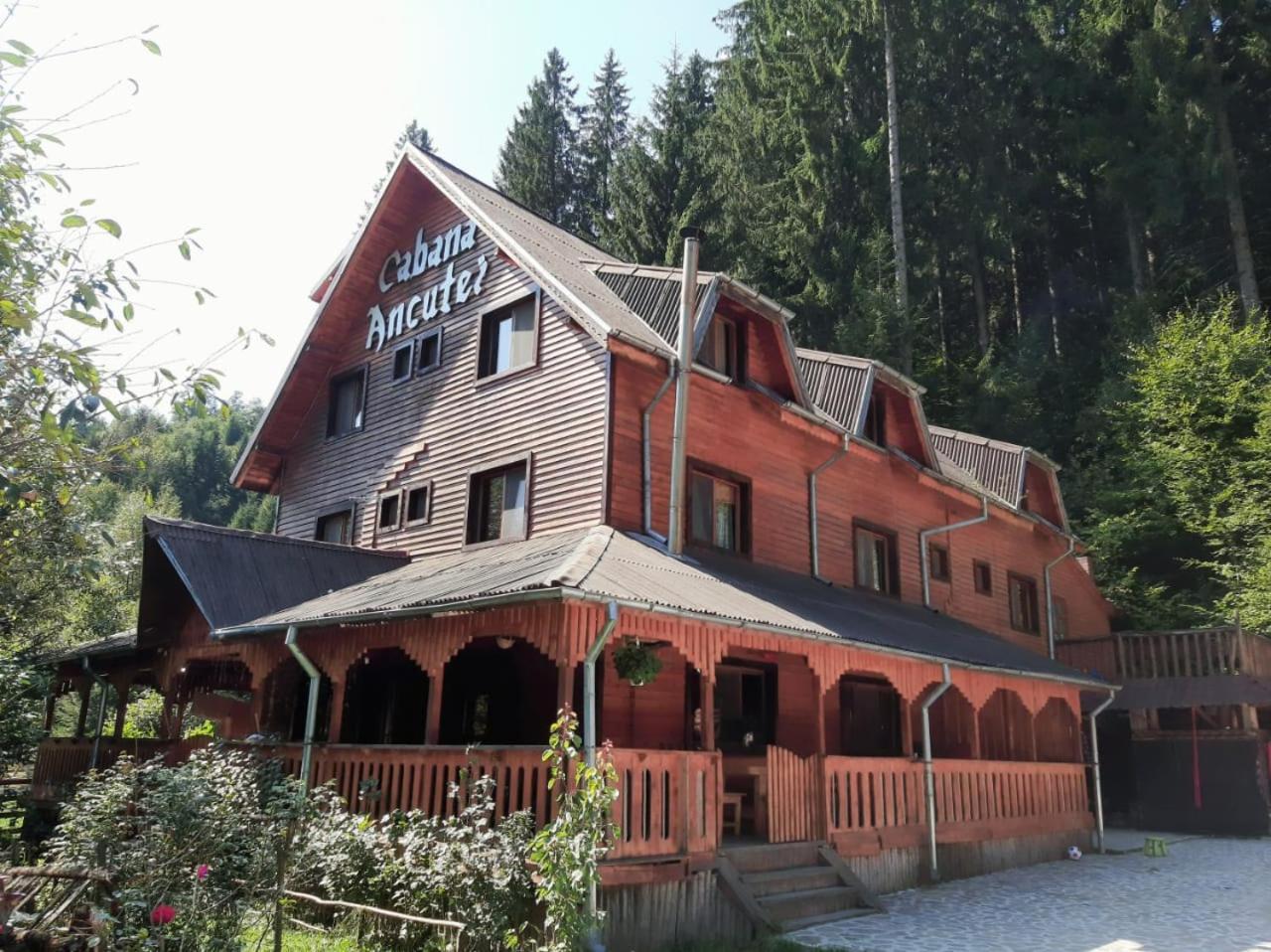 Cabana Ancutei Rucăr Exterior foto